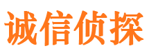 宣威市调查公司